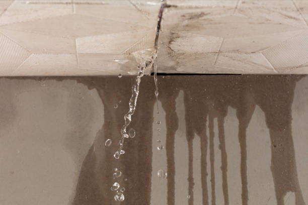 Professional Structural Drying technician working in Dennehotso, AZ